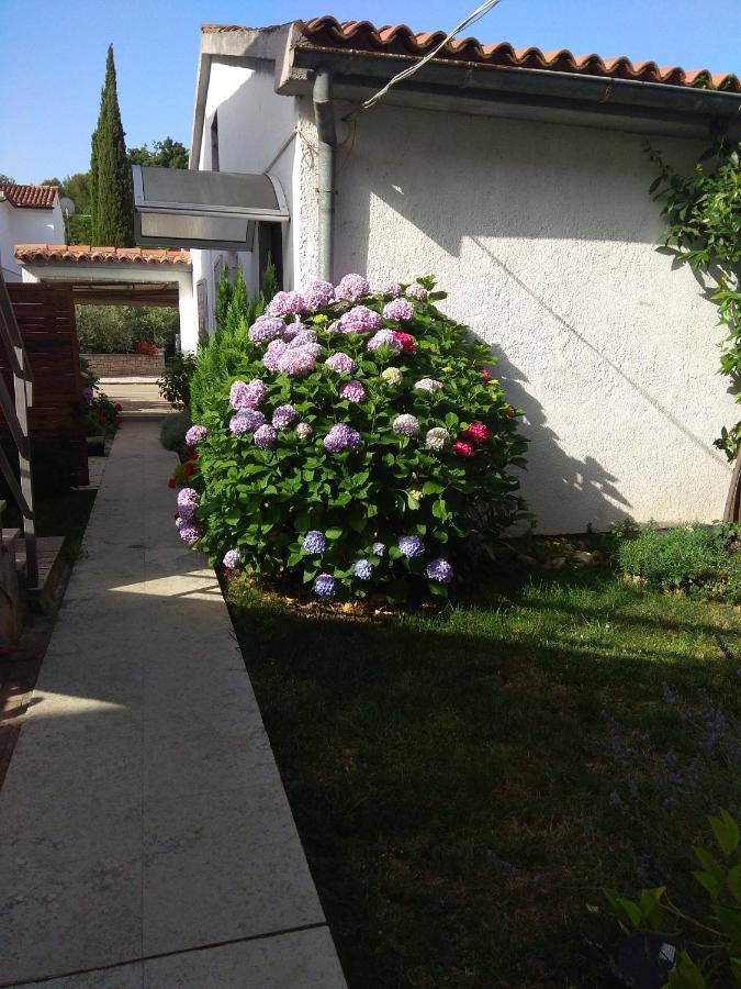 Apartment Nebo Poreč Kültér fotó